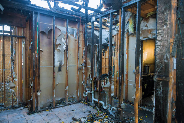 Professional Fire Damage Removal technician working in Odessa, FL