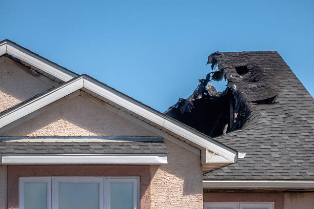 Top rated local Fire Damage Removal specialists in Odessa, FL
